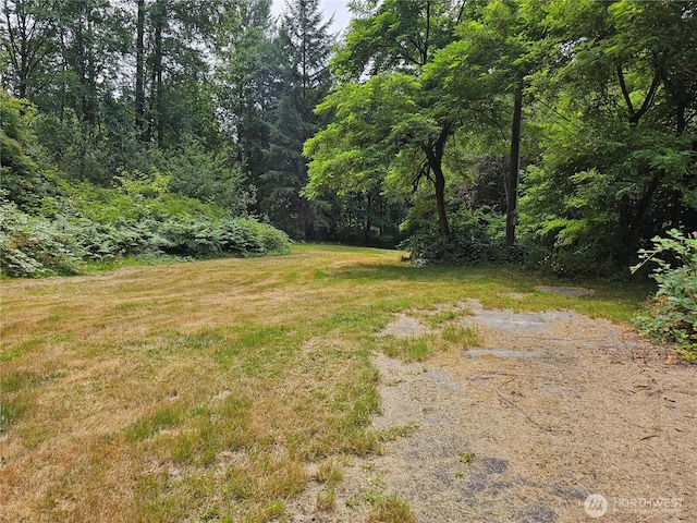 18909 State Route 9 SE, Snohomish, WA 98296 - photo 10