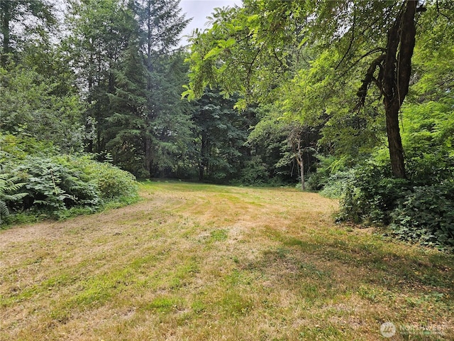 18909 State Route 9 SE, Snohomish, WA 98296 - photo 11