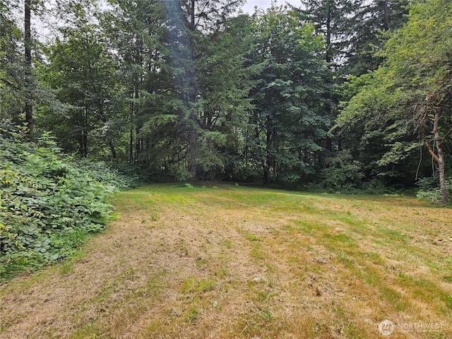 18909 State Route 9 SE, Snohomish, WA 98296 - photo 12