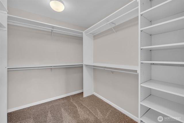 17109 7th Pl W, Lynnwood, WA 98037 - photo 10