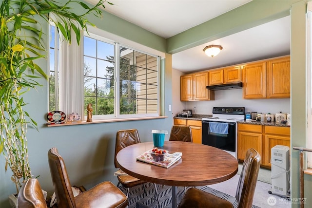 7919 Renton Ave S, Seattle, WA 98118 - photo 9
