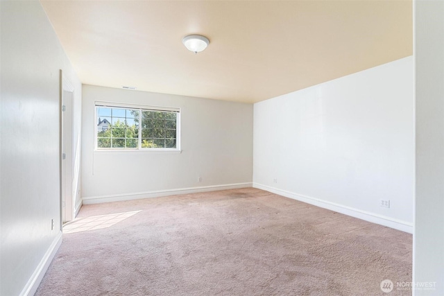 7919 Renton Ave S, Seattle, WA 98118 - photo 19