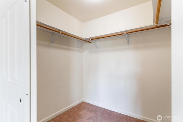 7919 Renton Ave S, Seattle, WA 98118 - photo 26