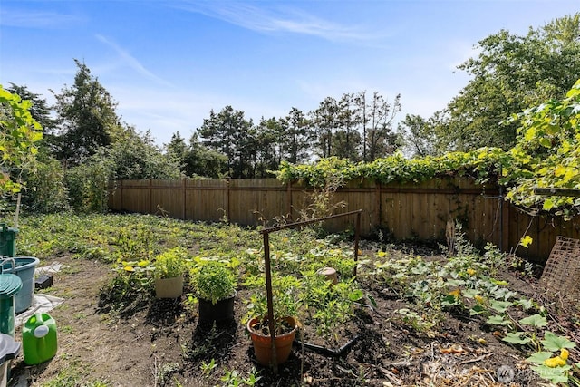 7919 Renton Ave S, Seattle, WA 98118 - photo 36