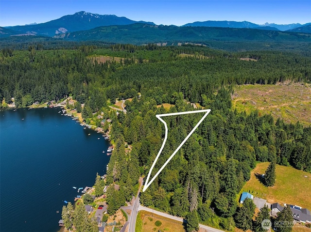 2303 S Lake Roesiger Rd, Snohomish, WA 98290 - photo 6