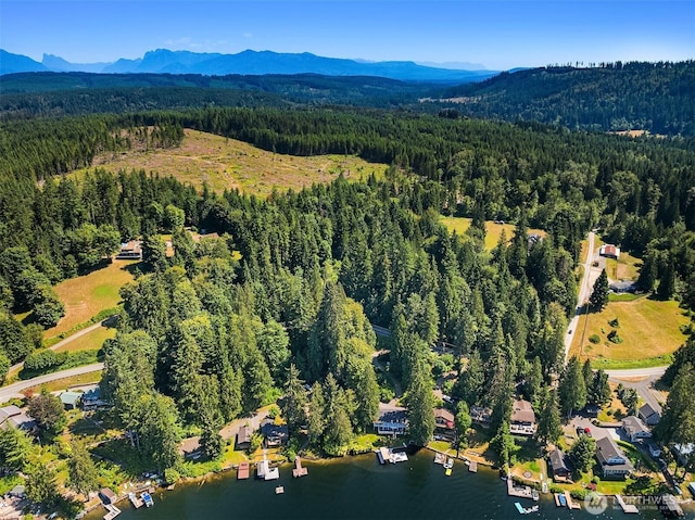 2303 S Lake Roesiger Rd, Snohomish, WA 98290 - photo 7