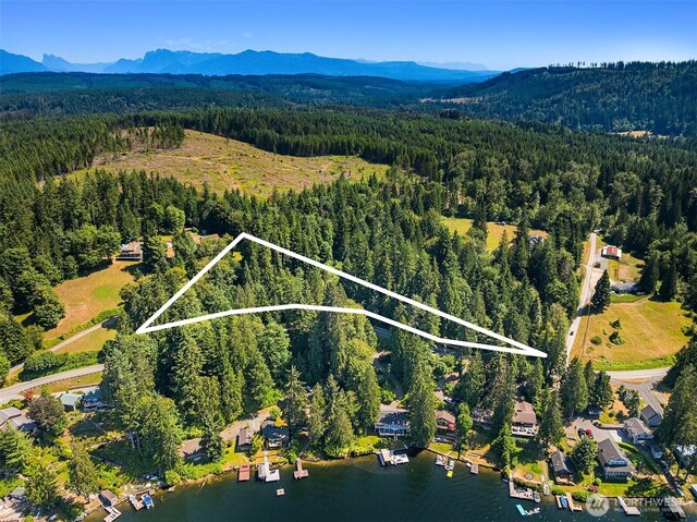 2303 S Lake Roesiger Rd, Snohomish, WA 98290 - photo 8