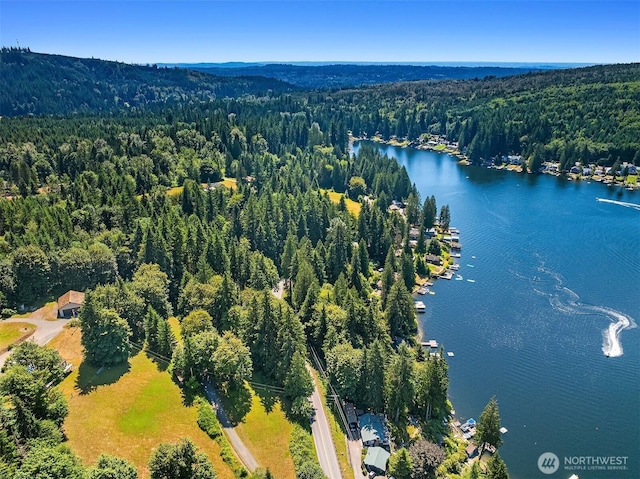 2303 S Lake Roesiger Rd, Snohomish, WA 98290 - photo 9