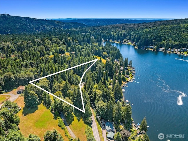 2303 S Lake Roesiger Rd, Snohomish, WA 98290 - photo 10