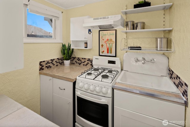 3807 Densmore Ave N, Seattle, WA 98103 - photo 21