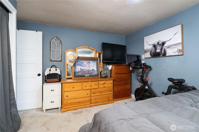16027 W Division St, Mount Vernon, WA 98273 - photo 10