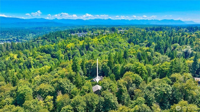 27914 NE 157th Pl, Duvall, WA 98019 - photo 3