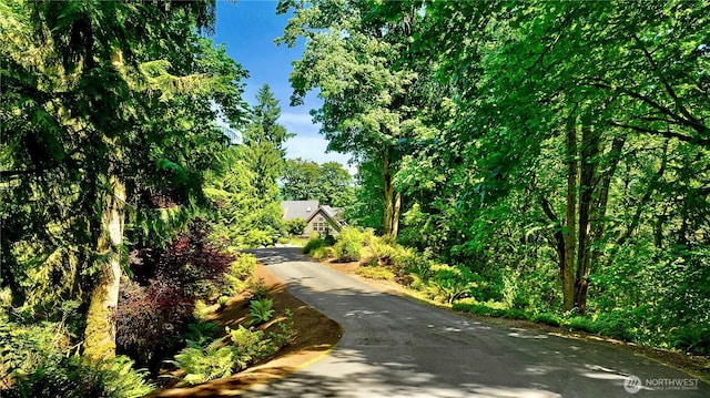 27914 NE 157th Pl, Duvall, WA 98019 - photo 4
