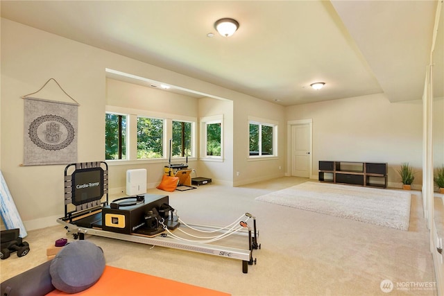 27914 NE 157th Pl, Duvall, WA 98019 - photo 37