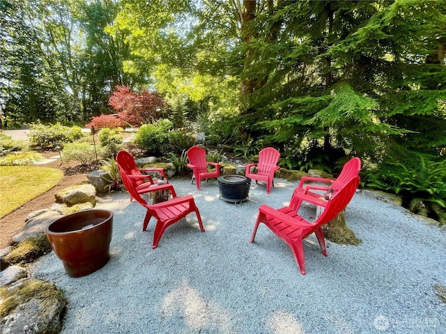 27914 NE 157th Pl, Duvall, WA 98019 - photo 11