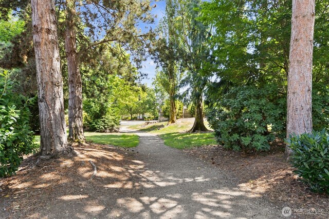 15829 NE 90th Way, Redmond, WA 98052 - photo 32