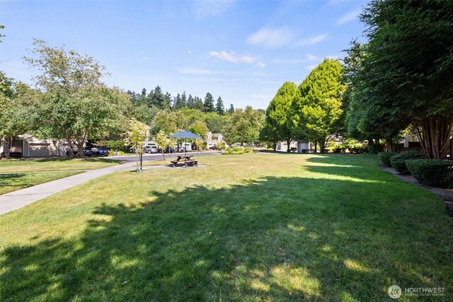 15829 NE 90th Way, Redmond, WA 98052 - photo 36