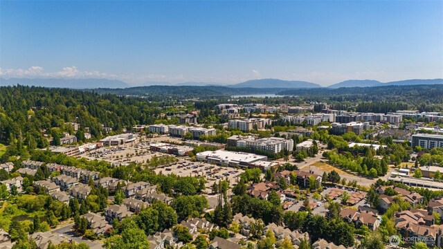 15829 NE 90th Way, Redmond, WA 98052 - photo 40