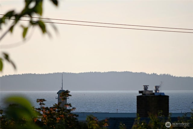 2423 Grand Ave Unit 1, Everett, WA 98201 - photo 15