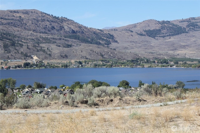 116 Village Way, Oroville, WA 98844 - photo 1