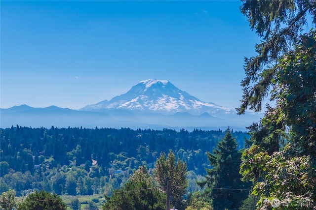124 66th Ave E, Fife, WA 98424 - photo 3