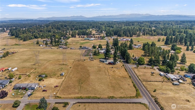 215 296th St S, Roy, WA 98580 - photo 11