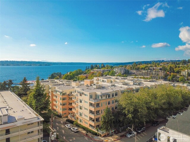 109 2nd St S Unit 423, Kirkland, WA 98033 - photo 21