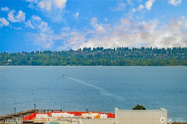 109 2nd St S Unit 423, Kirkland, WA 98033 - photo 28