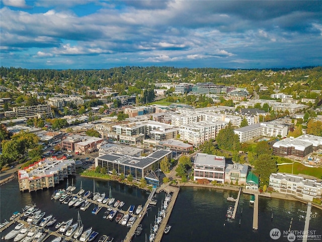 109 2nd St S Unit 423, Kirkland, WA 98033 - photo 29
