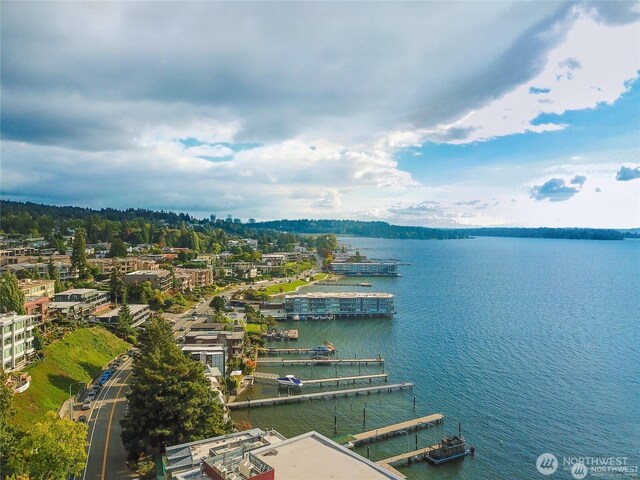 109 2nd St S Unit 423, Kirkland, WA 98033 - photo 30