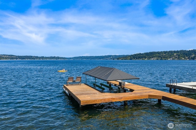 17714 SE 40th Pl, Bellevue, WA 98008 - photo 2