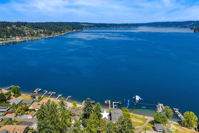 17714 SE 40th Pl, Bellevue, WA 98008 - photo 38