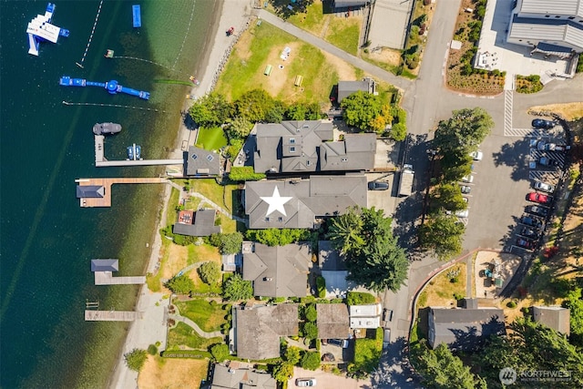 17714 SE 40th Pl, Bellevue, WA 98008 - photo 39