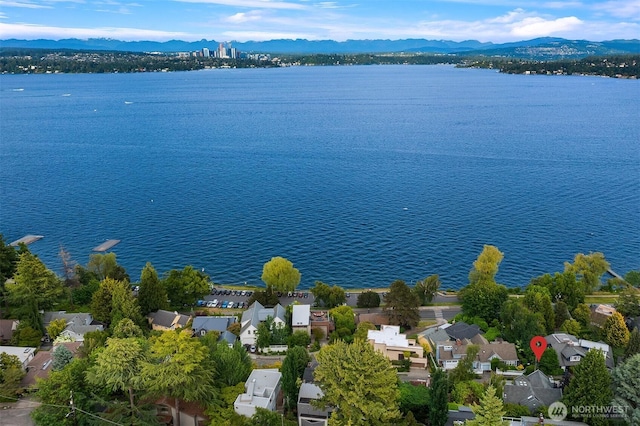 603 Wellington Ave, Seattle, WA 98122 - photo 38