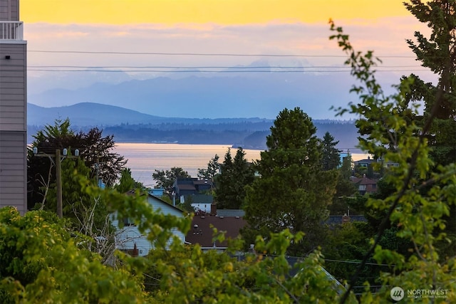 4825 42nd Ave SW Unit B, Seattle, WA 98116 - photo 4