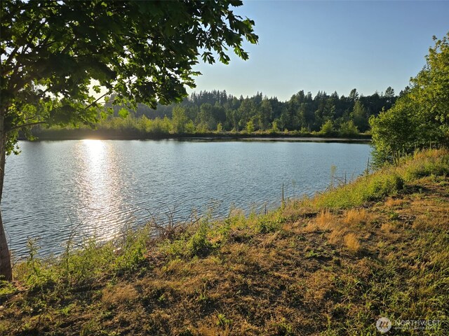243 Collins Rd, Toledo, WA 98591 - photo 7