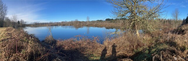 243 Collins Rd, Toledo, WA 98591 - photo 10