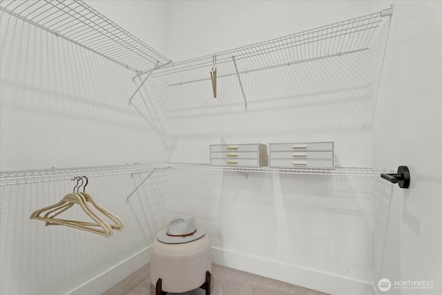 12028 11th Ave NW, Seattle, WA 98177 - photo 18