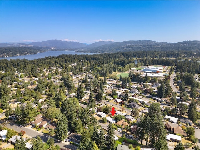 16205 SE 7th St, Bellevue, WA 98008 - photo 40