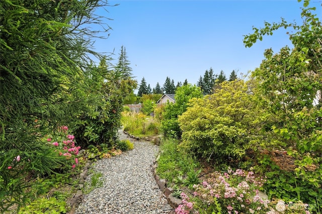3804 219th Ct SW, Brier, WA 98036 - photo 30