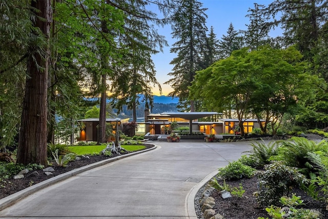 7799 Hansen Rd NE, Bainbridge Island, WA 98110 - photo 3