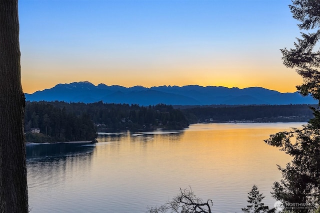 7799 Hansen Rd NE, Bainbridge Island, WA 98110 - photo 17