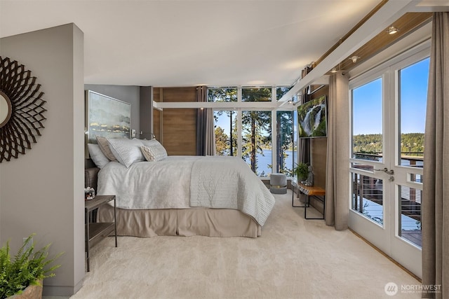 7799 Hansen Rd NE, Bainbridge Island, WA 98110 - photo 19