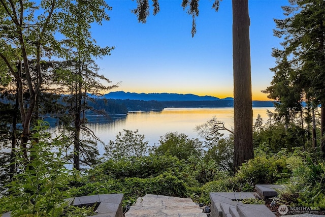 7799 Hansen Rd NE, Bainbridge Island, WA 98110 - photo 35