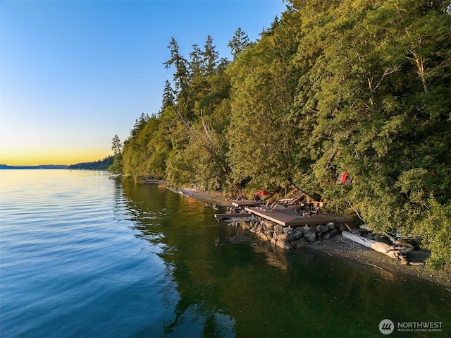 7799 Hansen Rd NE, Bainbridge Island, WA 98110 - photo 36