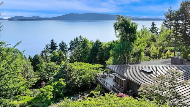 733 Fieldston Rd, Bellingham, WA 98225 - photo 40