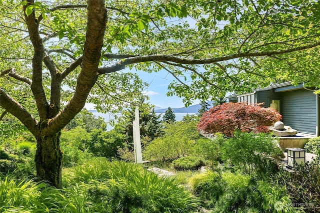 733 Fieldston Rd, Bellingham, WA 98225 - photo 9