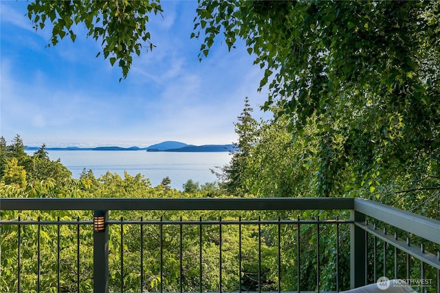 733 Fieldston Rd, Bellingham, WA 98225 - photo 12