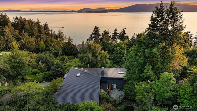 733 Fieldston Rd, Bellingham, WA 98225 - photo 39