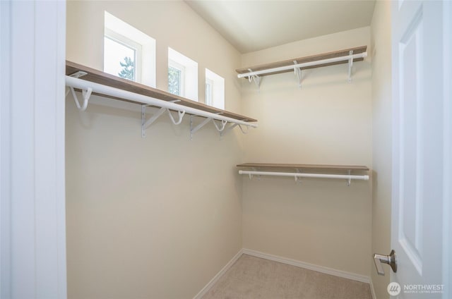 5317 Military Rd E Unit C, Tacoma, WA 98446 - photo 10